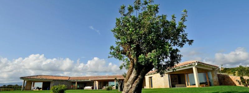 Villa Dessy: Villa in Italien, Sardinien mieten - SonnigesSardinien